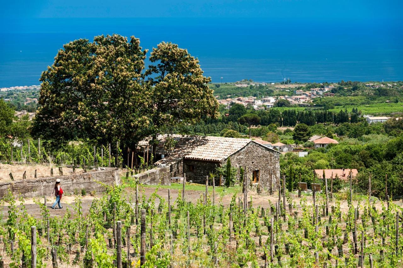 Отель Monaci Delle Terre Nere Цафферана-Этнея Экстерьер фото